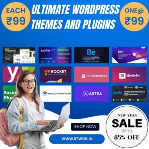 WordPress Themes and Plugins